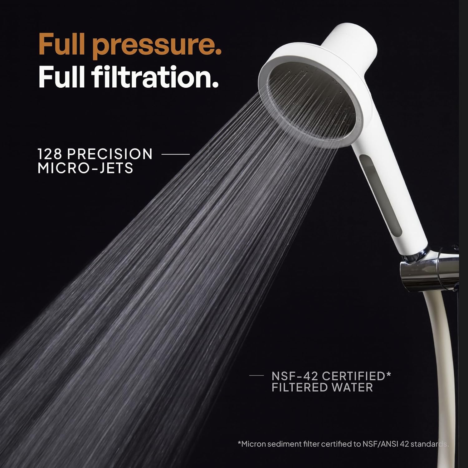 Hamilton Shower filter handheld