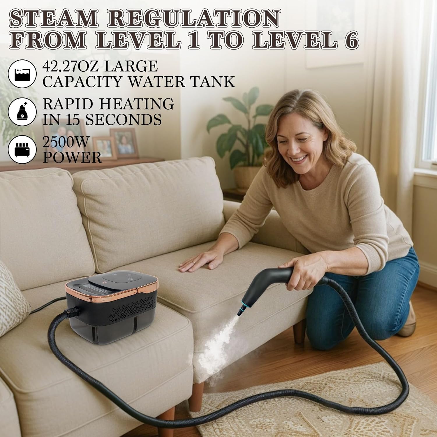 Handheld Steam Cleaner