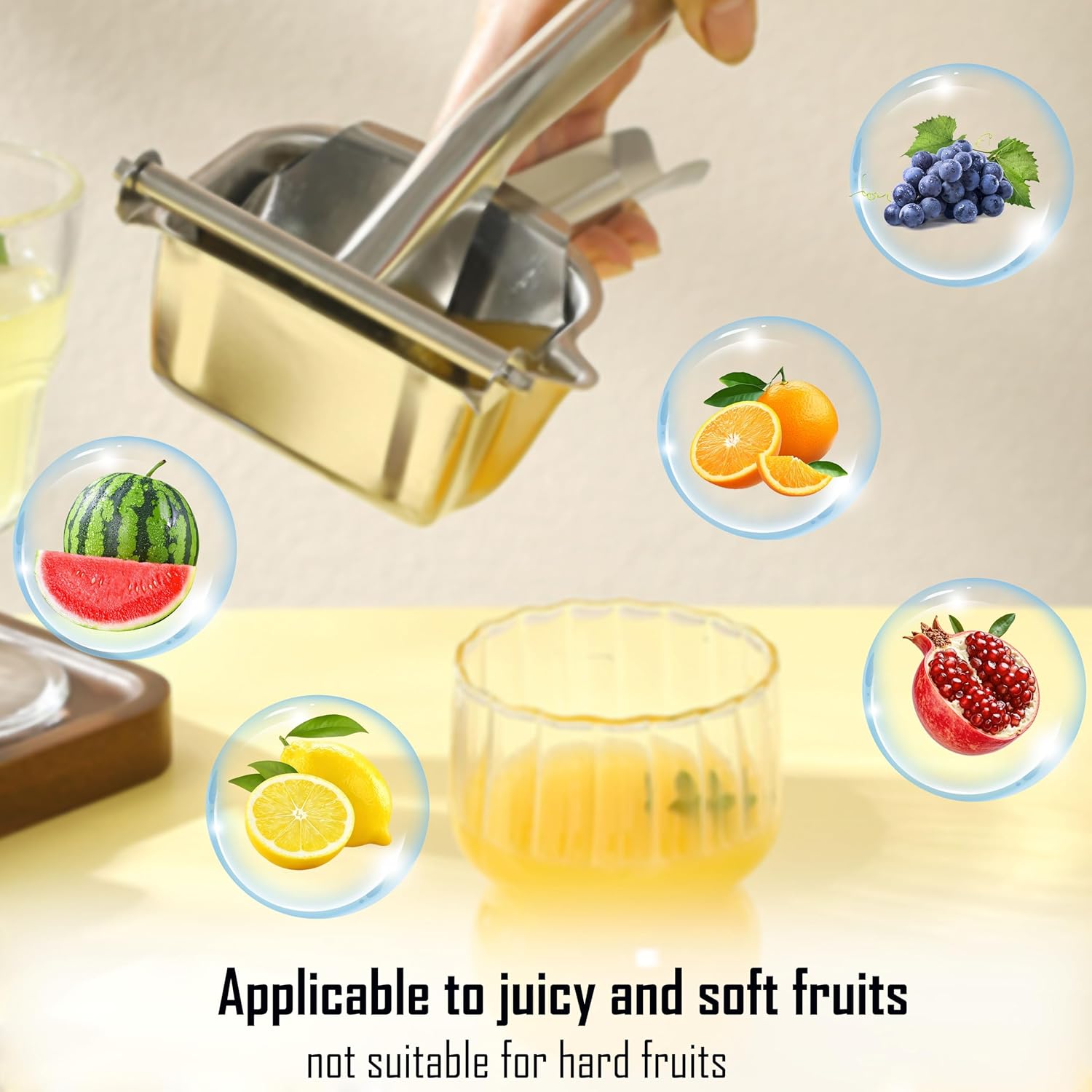 Stainless Steel Manual Juicer