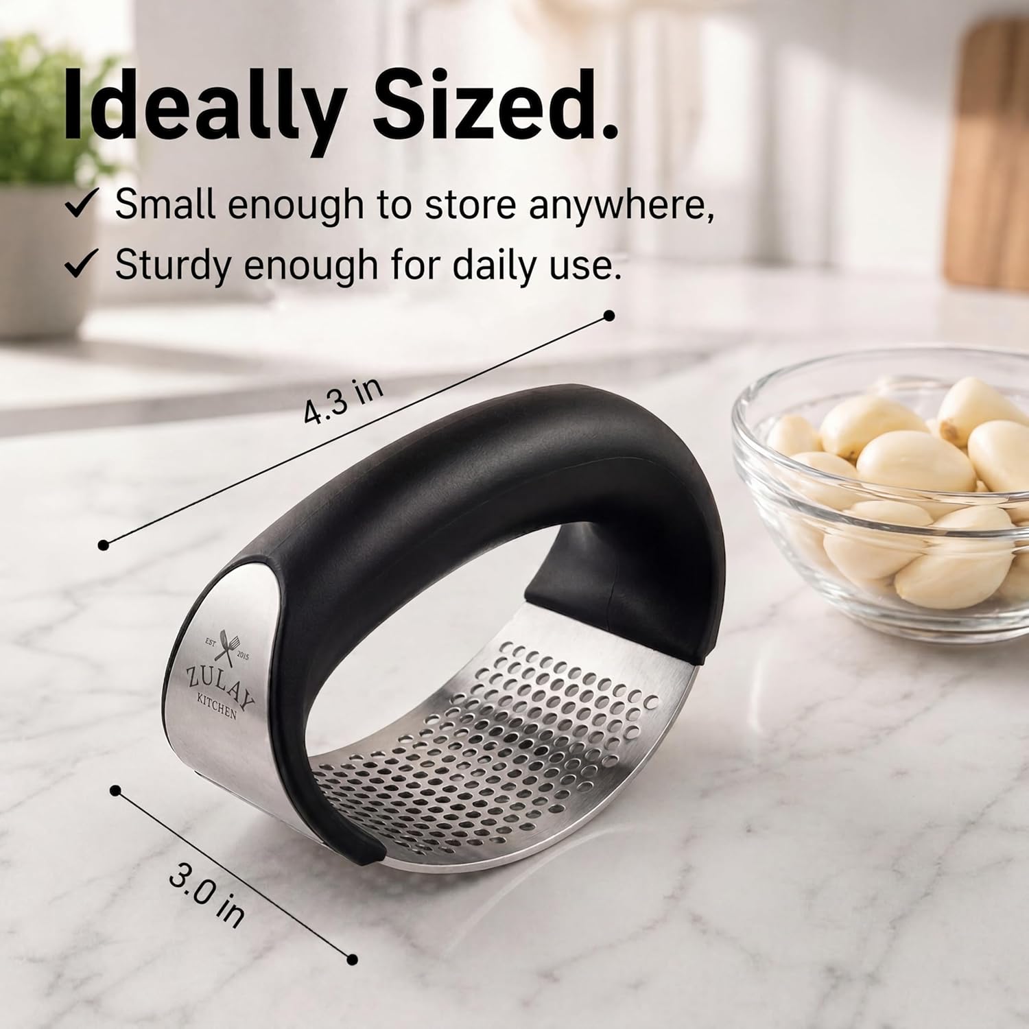 Garlic Grinder Machine Press