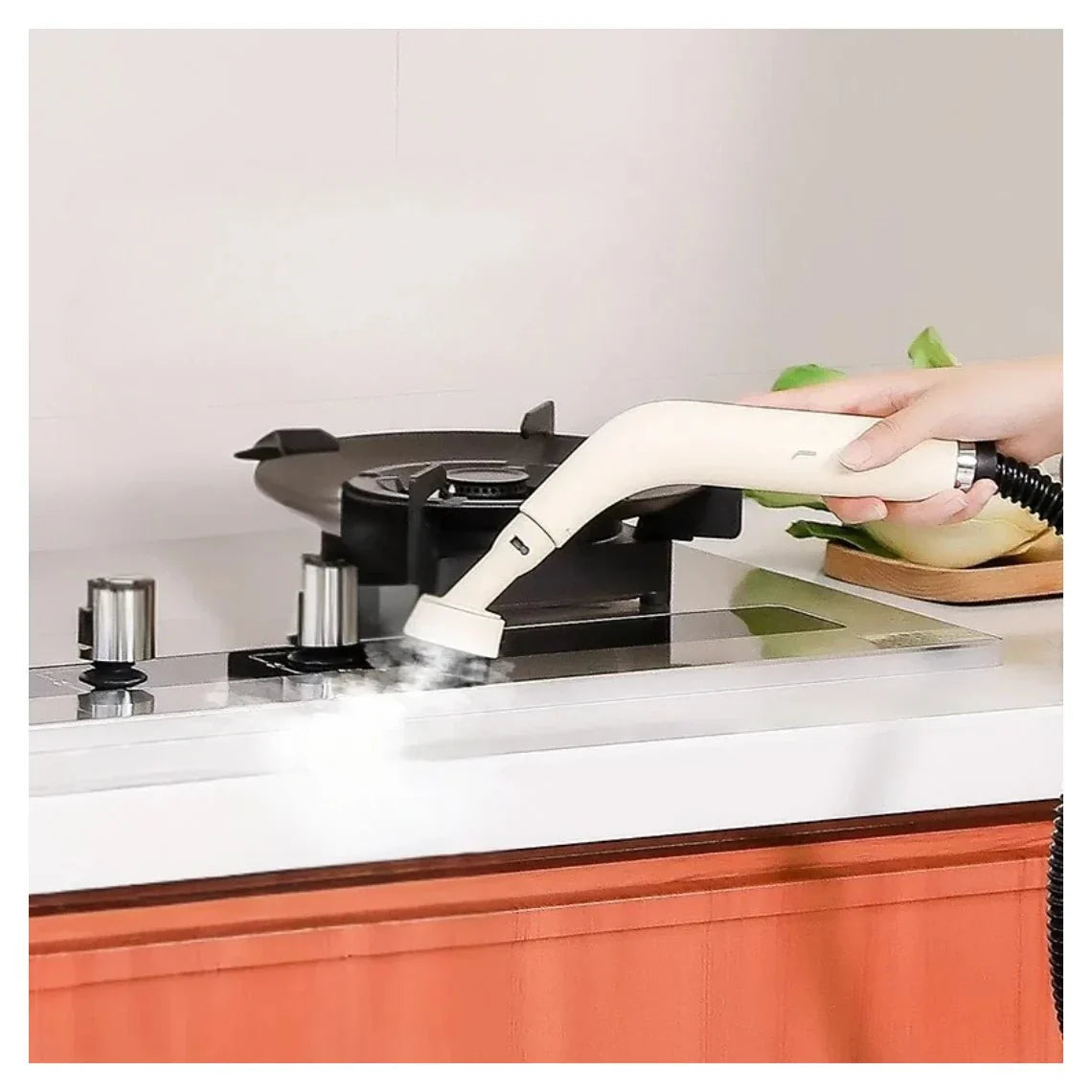 Steam Cleaning Machine Ⓢ